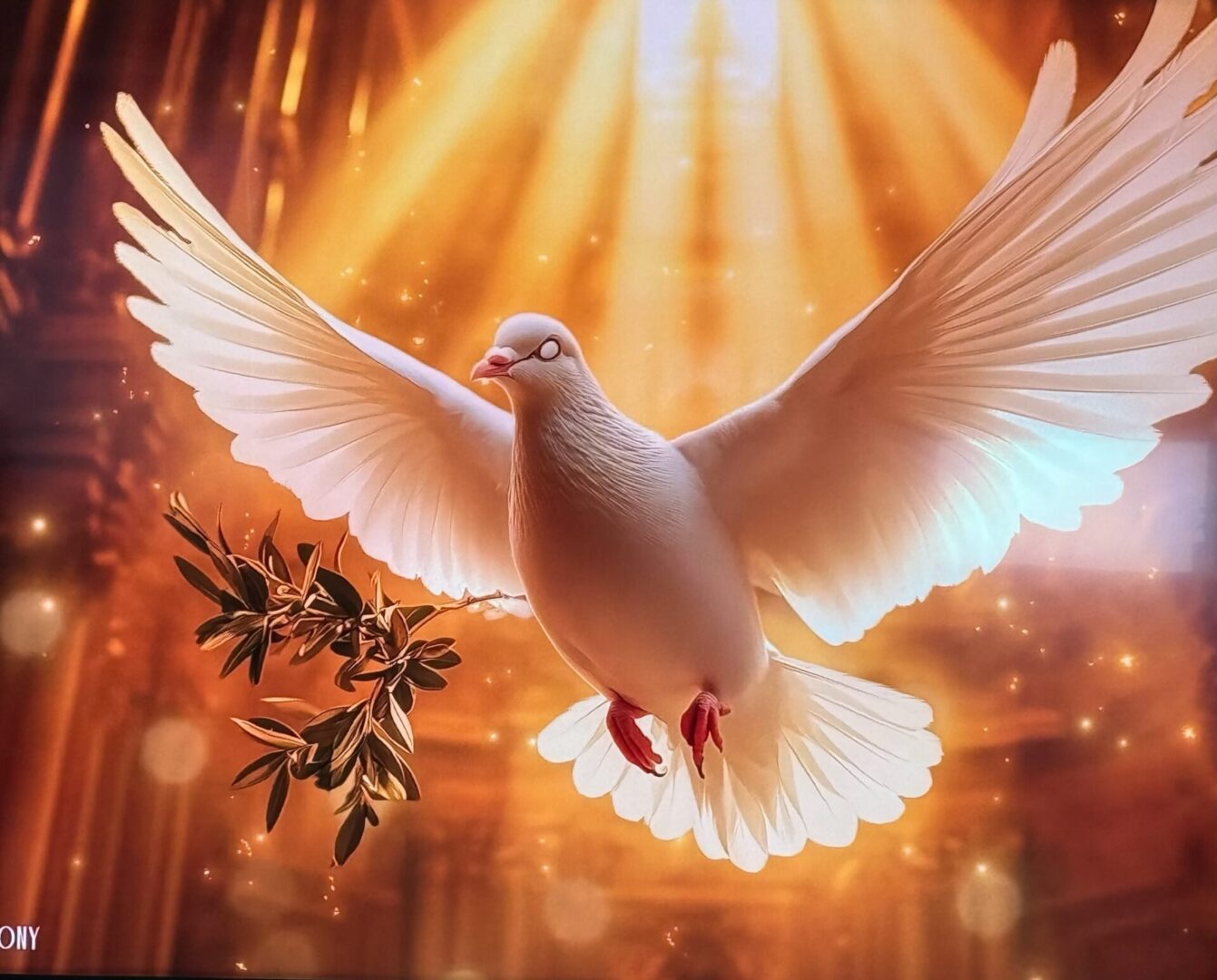 Radiant white dove carrying olive branch