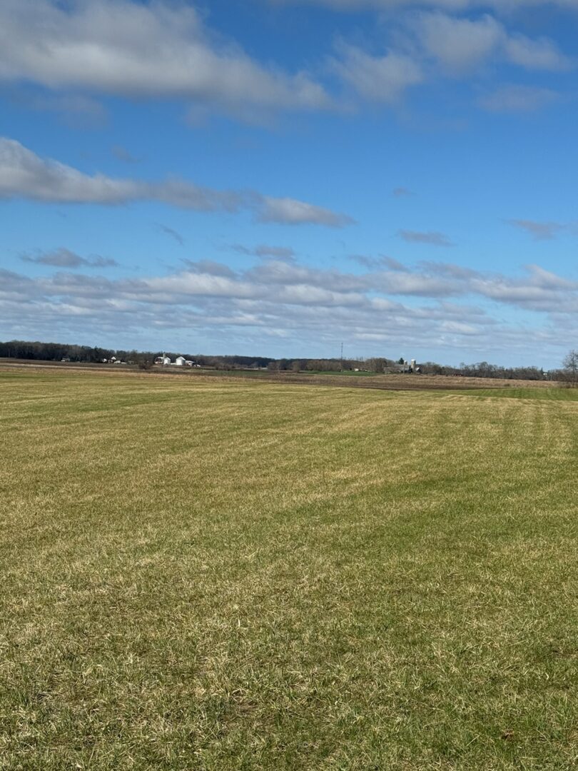 Expansive rural field under bright blue sky