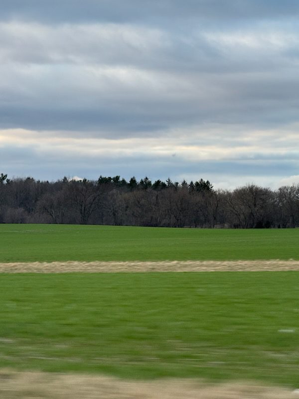 Green field with distant trees and cloudy sky