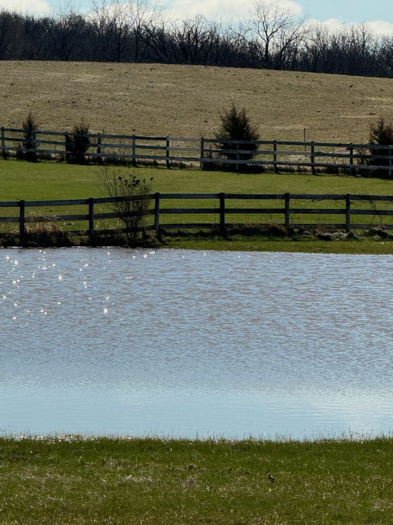 Sparkling pond beside fenced grassy rolling fields